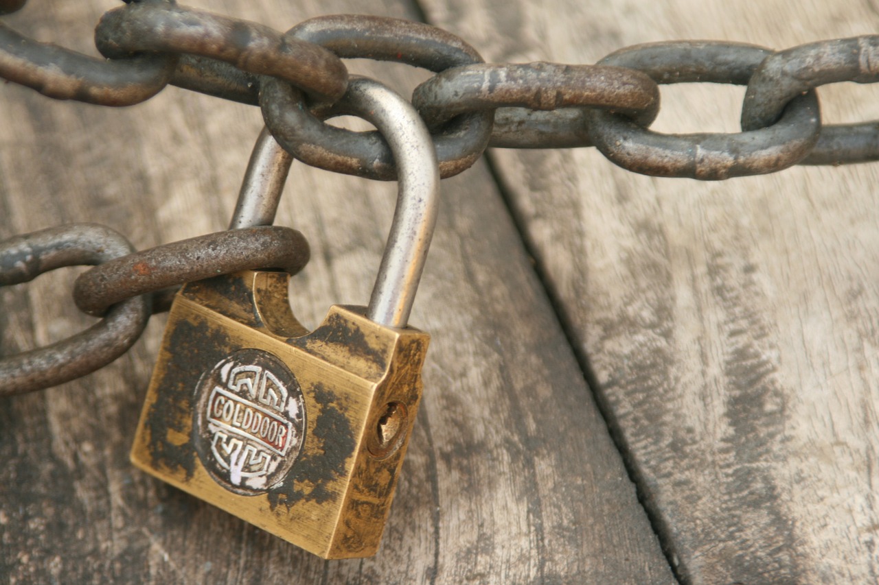 The Invisible Hand of Human Behavior in Safety Regulations